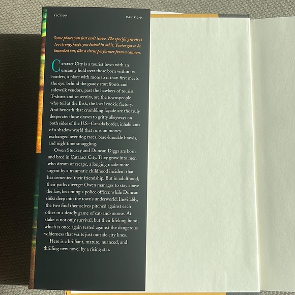 Cataract City - Craig Davidson. Novel. Hardcover. - Picture 4 of 8